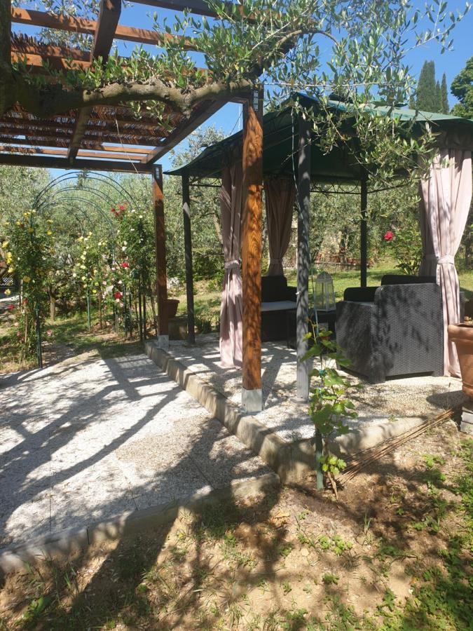 Casa Vacanze L'Oliveta Siena Esterno foto