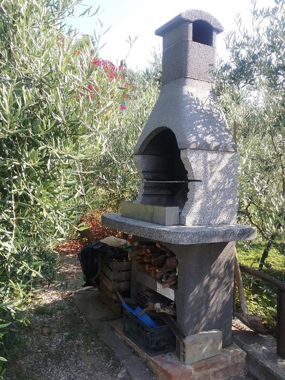 Casa Vacanze L'Oliveta Siena Esterno foto