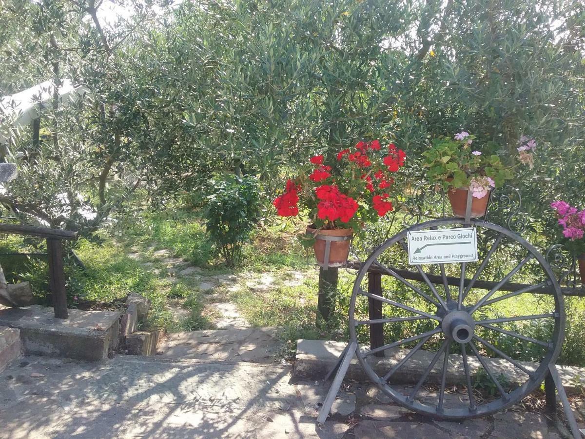 Casa Vacanze L'Oliveta Siena Esterno foto