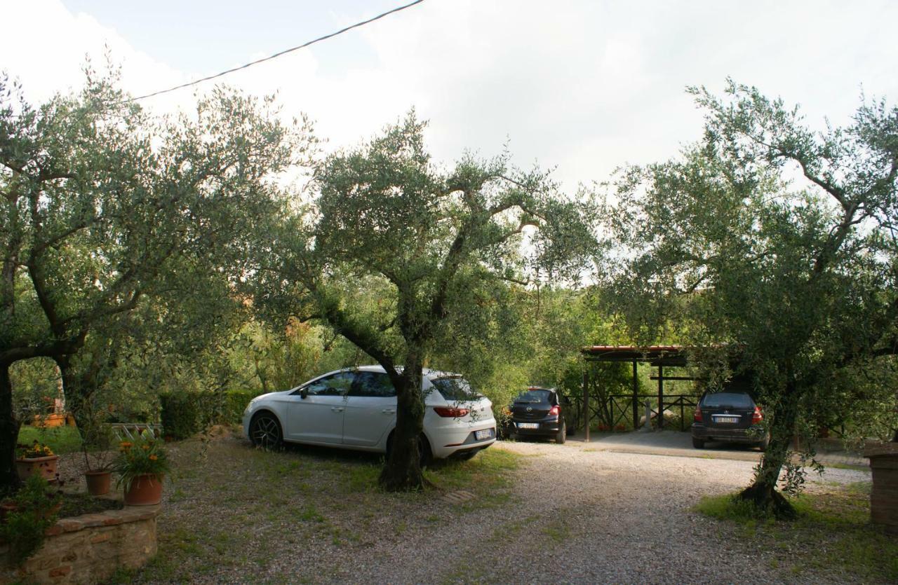 Casa Vacanze L'Oliveta Siena Esterno foto