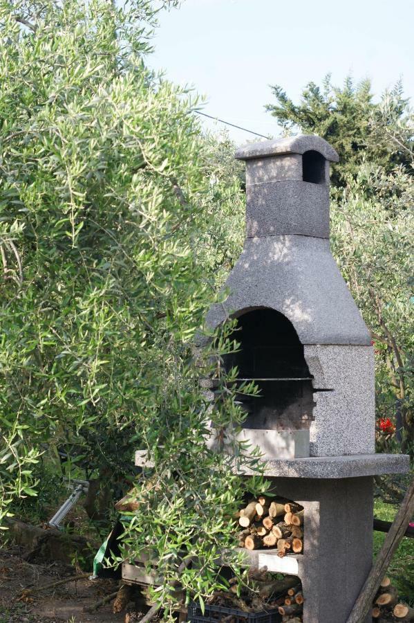 Casa Vacanze L'Oliveta Siena Esterno foto