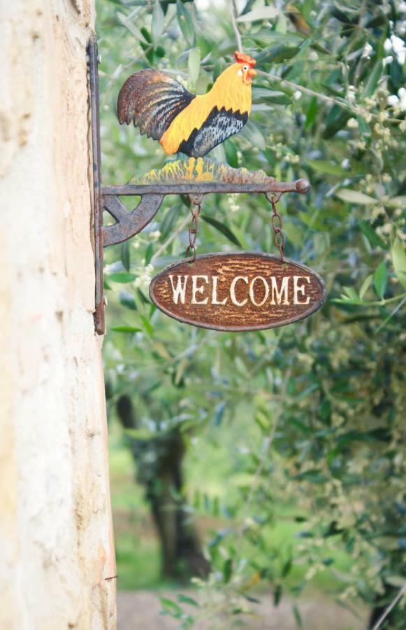 Casa Vacanze L'Oliveta Siena Esterno foto